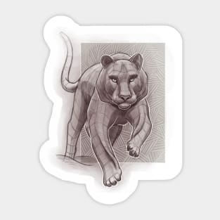 Sketch of tiger Sticker